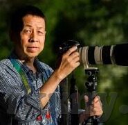 91麻豆国产网-多元文化的视角，对网络平台内容的观照与思考