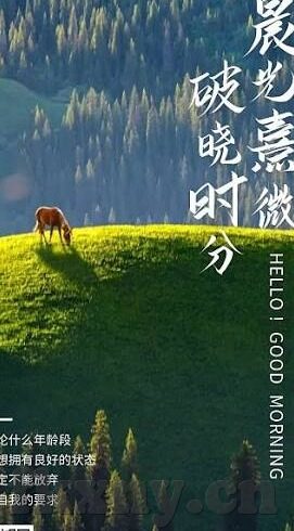 精品国产亚洲av麻豆gif-国产影视作品的多元化发展与伦理探讨，精品国产内容的独特魅力与影响
