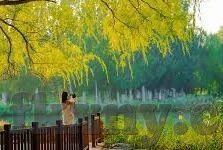 欧美日本一区二区-探索全球影视文化，欧美与日系影视的独特魅力